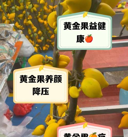 黄金果种植方法指南（一站式解决黄金果种植难题）
