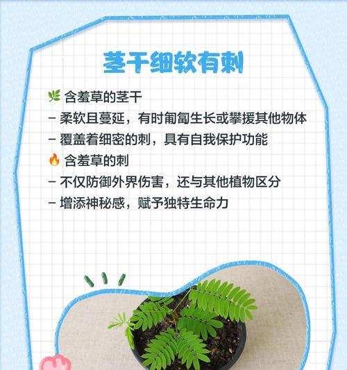 解决含羞草种子无法发芽的方法（如何克服种植含羞草时遇到的困难）