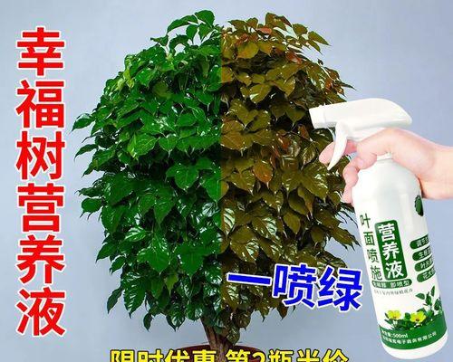如何选择适合平安树的肥料？（一文教你如何挑选适合平安树的肥料，打造健康的平安树。）
