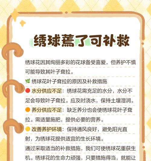 绣球花叶子掉落原因及应对方法（探究绣球花叶子掉落的原因以及如何有效应对）