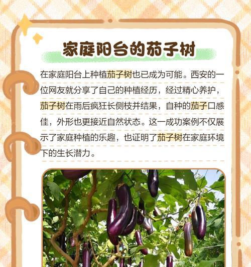 茄子的生长习性与营养价值（探究茄子的植物特征和食用益处）