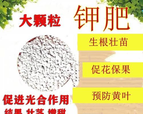 植物颗粒肥料的使用方法与注意事项（优化土壤环境，提高作物产量）