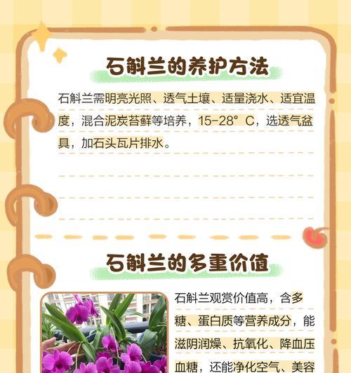石斛兰花烂根了怎么办？（救救石斛兰花！烂根危机下的抢救之道）