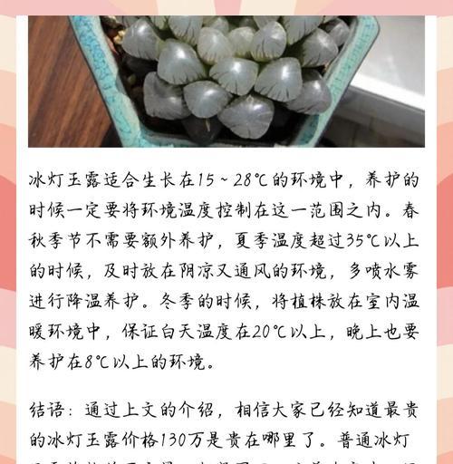 冬季玉露浇水技巧（如何科学地给玉露浇水，让其在冬季健康茁壮成长）