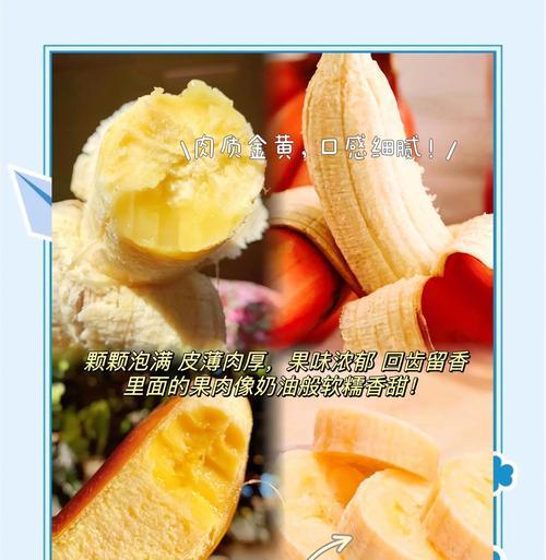 美人蕉（探究美人蕉的生长环境与喜好）