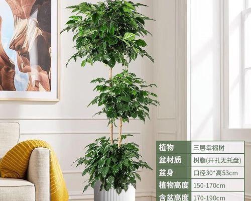 幸福树（打造繁茂丰盈的幸福树，从粗柱枝开始）