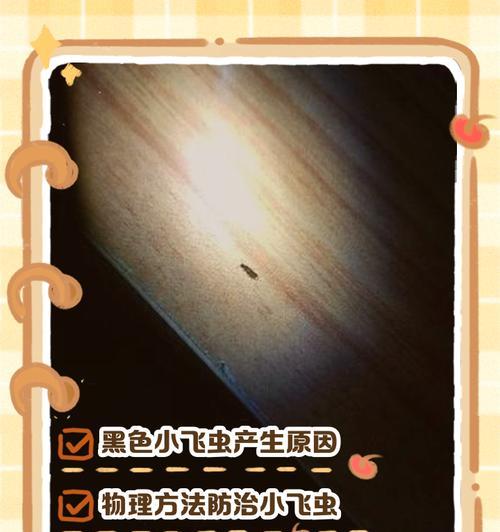 家养花遇小飞虫怎么办？（解决家中小飞虫困扰的有效方法）