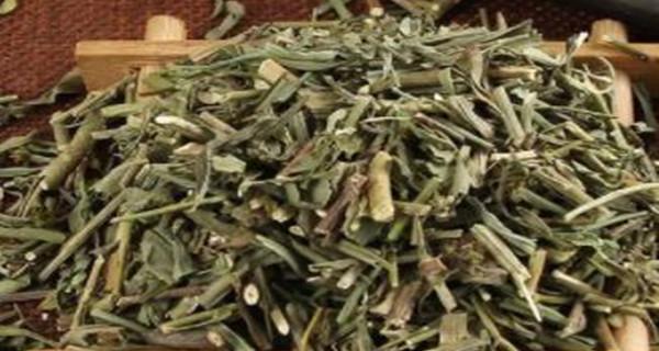 能否用水泡柴胡？（柴胡的泡水喝法详解，）