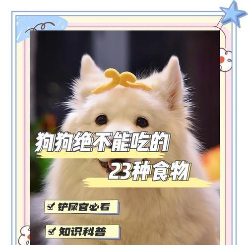 狗可以吃韭菜吗？解析犬类饮食习惯（狗狗饲养注意事项、狗狗食物选择、韭菜对狗狗的影响等内容）