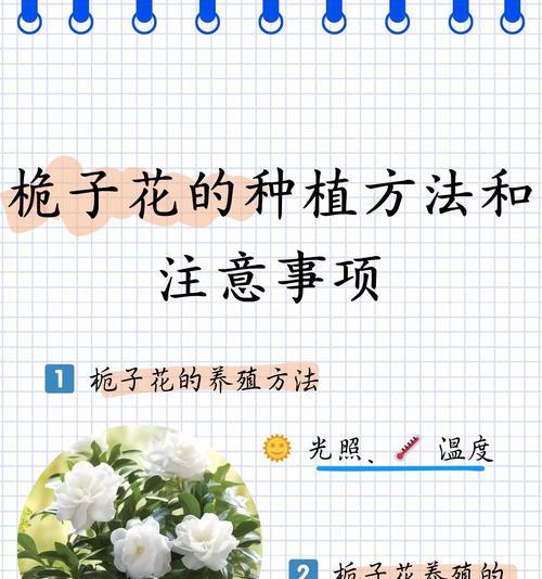 夏季栀子花修剪的技巧与方法（打造健康栀子花盛放夏日的花园）