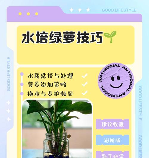 冬天绿萝的科学浇水方法（冬季绿萝养护，水分管理的关键）