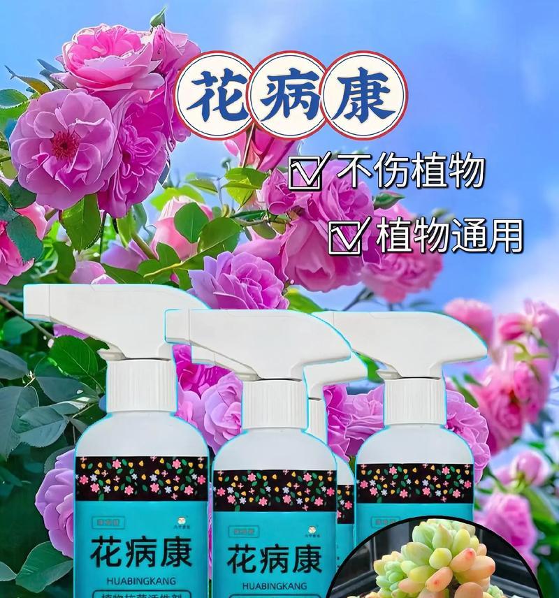 办公楼花卉绿植养护收费标准及注意事项（了解办公楼绿植养护收费，打造舒适办公环境）