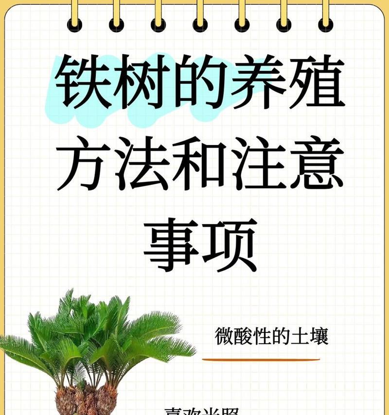 如何正确养护铁树，让它健康度过冬天（了解铁树的特性，合理调整养护方法）