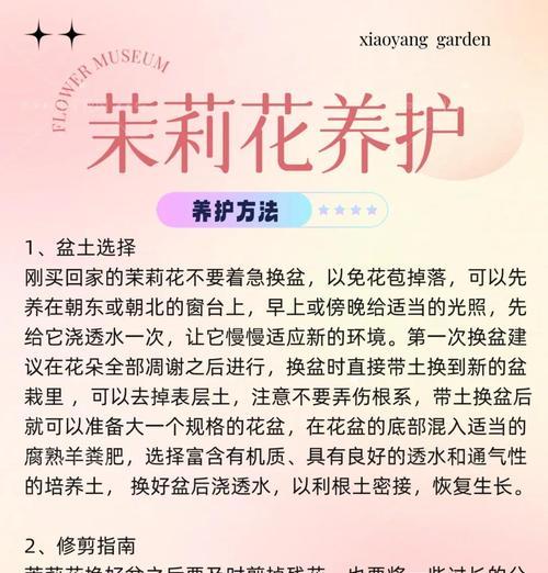 茉莉夏季换盆的正确方法（保护花卉健康成长的关键）
