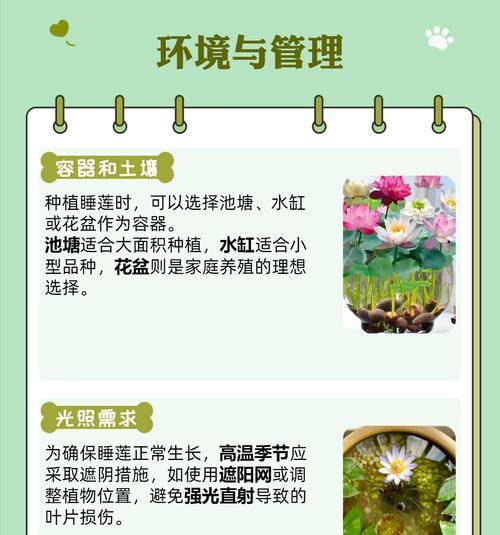 睡莲专用土的用法与注意事项（让你的睡莲健康成长的土壤选择与使用指南）