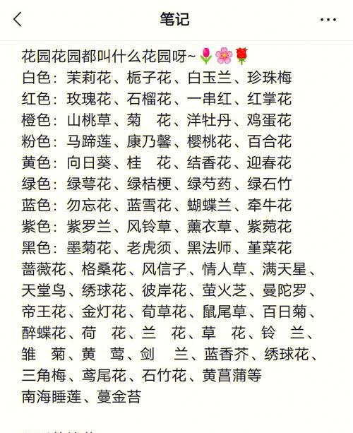 探索神秘植物之谜（揭开蓝羽花的身世之谜，领略其独特魅力）