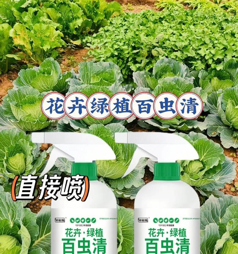 花卉长腻虫的有效防治方法（掌握除虫技巧，让花卉保持健康美丽）