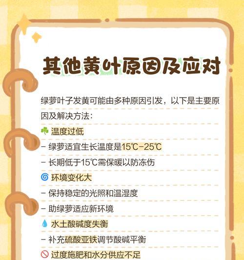 绿萝叶发黄的原因及解决方法（寻找绿萝叶发黄的关键原因并提供有效的解决方案）