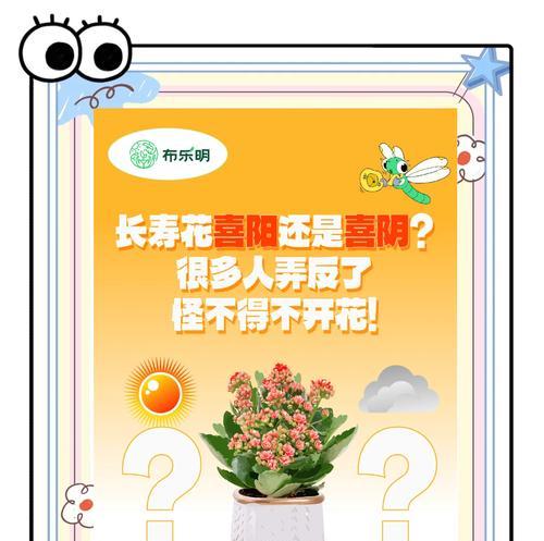 丝瓜的生长习性（揭秘丝瓜生长习性的真相，让你轻松栽种丰收！）