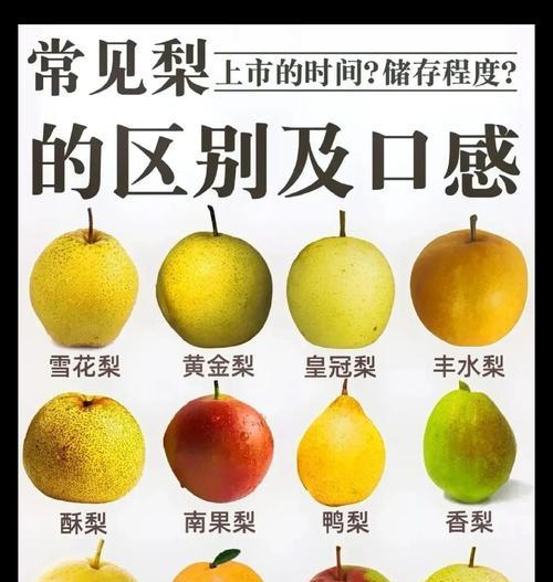 如何挑选新鲜甜美的梨（一份完整的选梨指南）